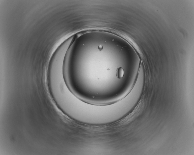 X0000112881101200909111438