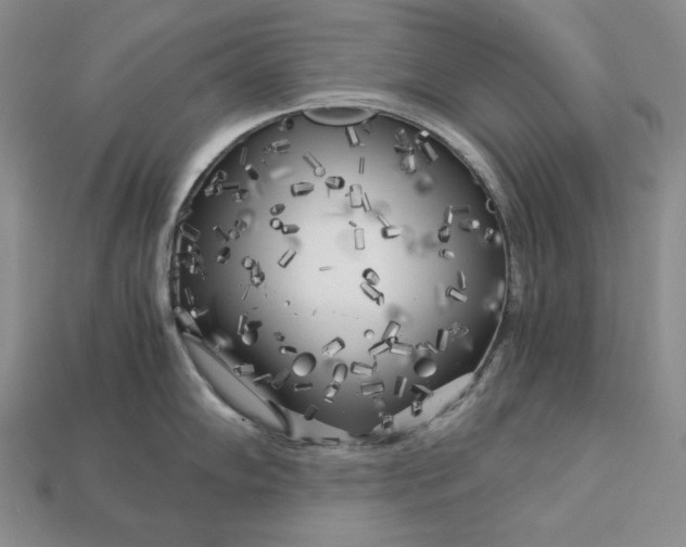 X0000112881102200909111438