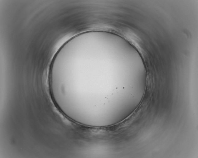 X0000112881103200909111438