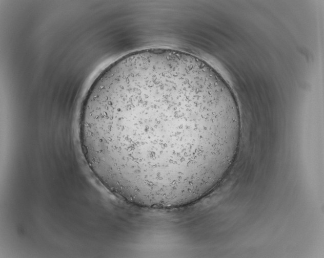 X0000112881104200909111438