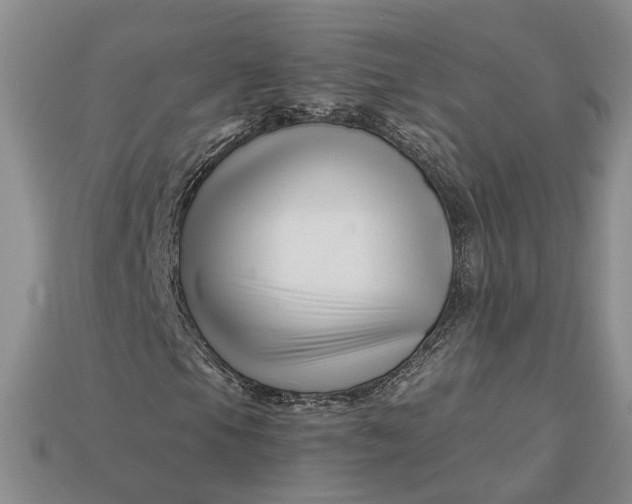 X0000112881105200909111437