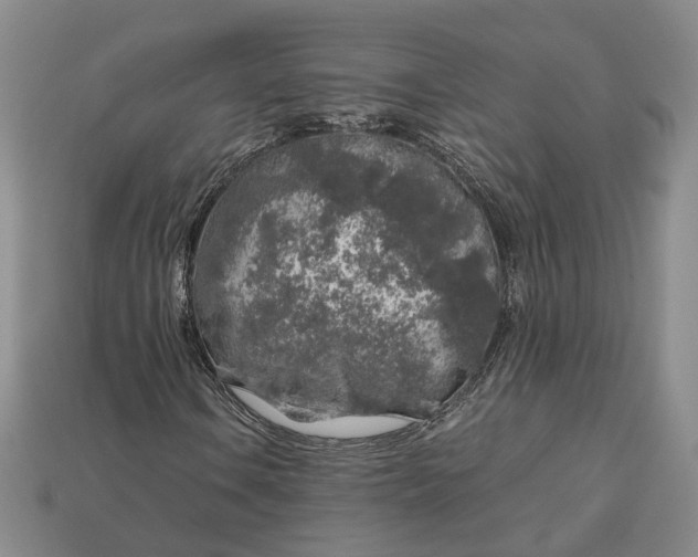 X0000112881106200909111437