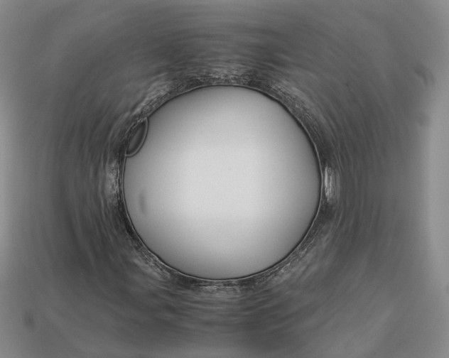 X0000112881107200909111437