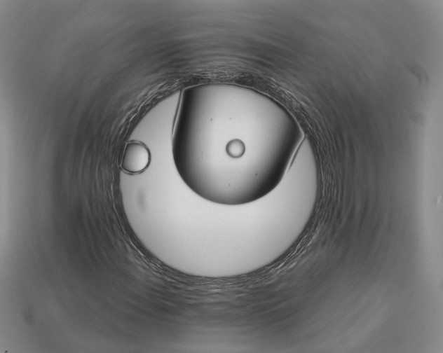 X0000112881108200909111437