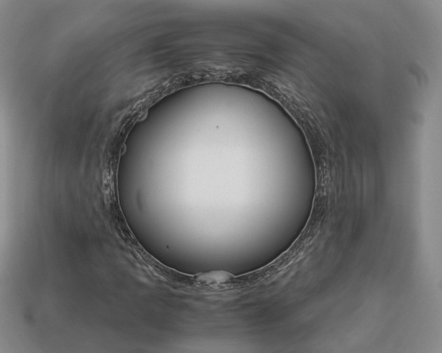 X0000112881109200909111437