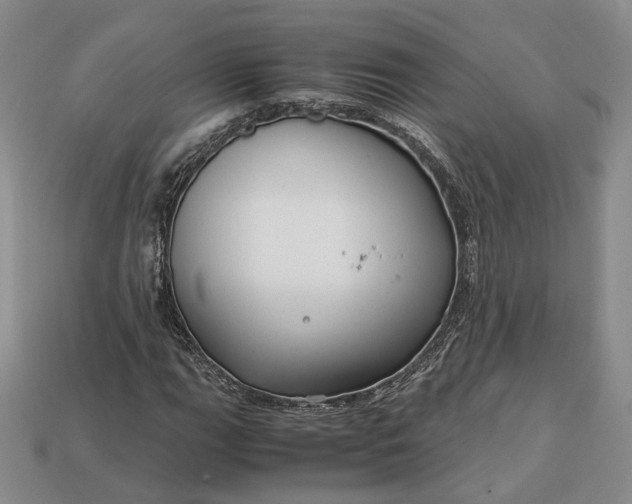 X0000112881111200909111437