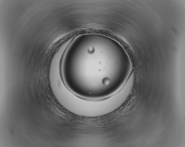 X0000112881112200909111437