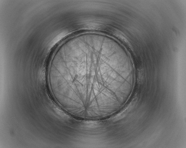 X0000112881114200909111437