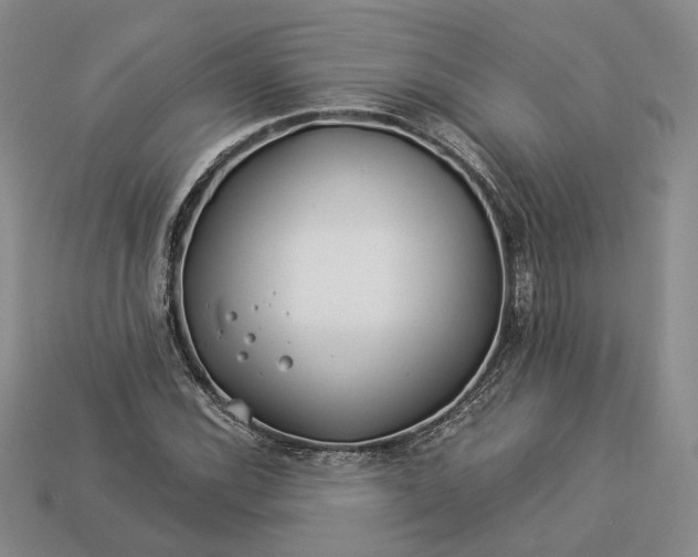 X0000112881116200909111437