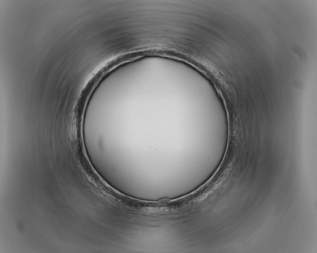 X0000112881118200909111437