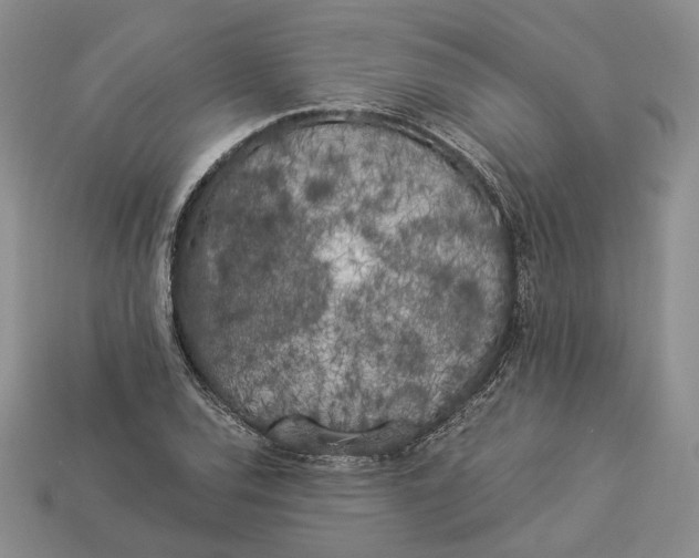 X0000112881120200909111437