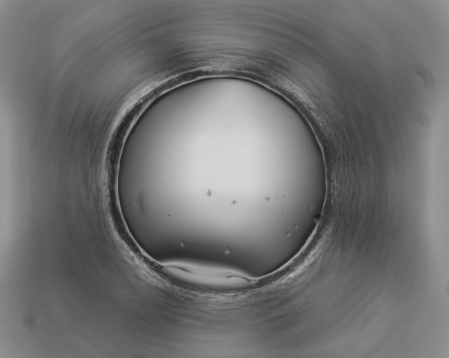 X0000112881122200909111437