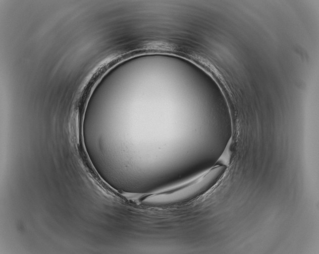 X0000112881123200909111437