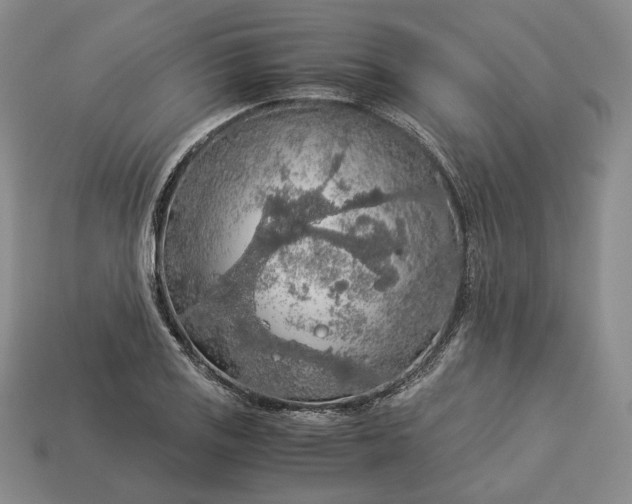 X0000112881125200909111437