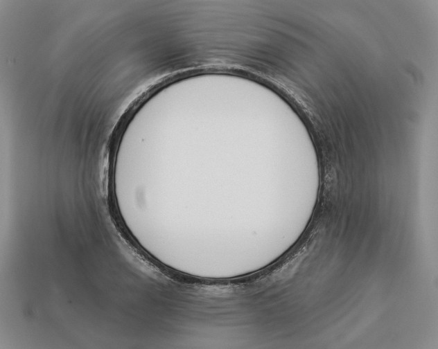 X0000112881126200909111437