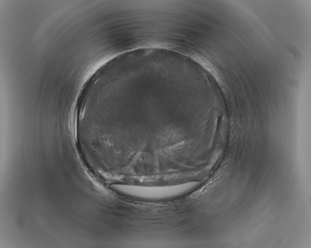 X0000112881127200909111437