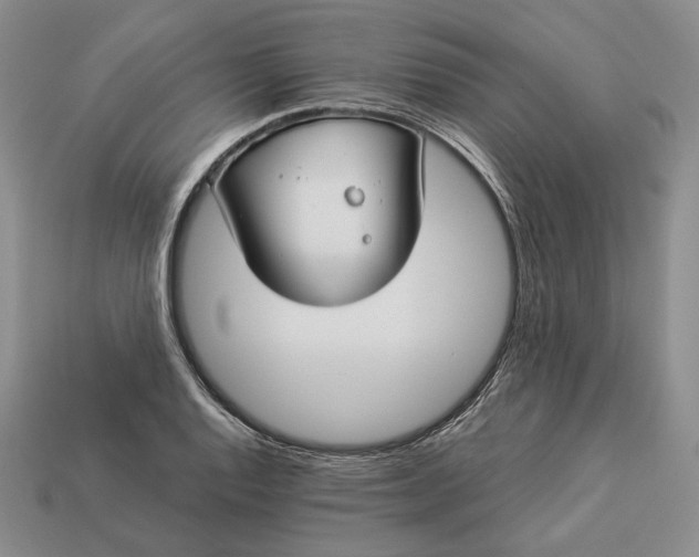 X0000112881128200909111437