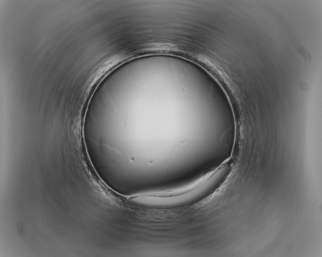 X0000112881129200909111437