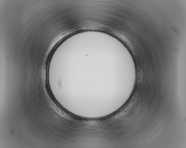 X0000112881130200909111437