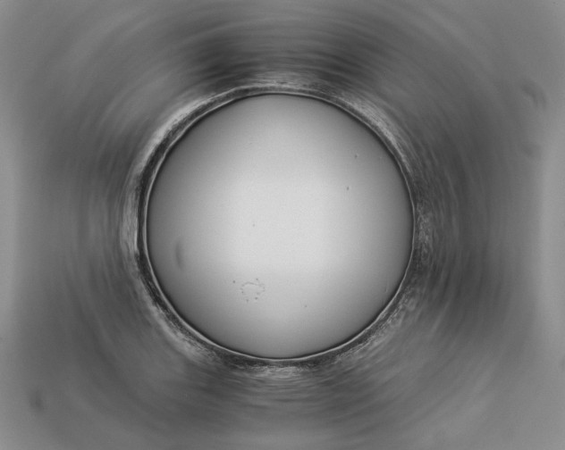 X0000112881131200909111437