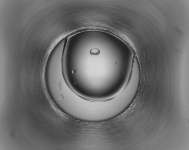 X0000112881136200909111437