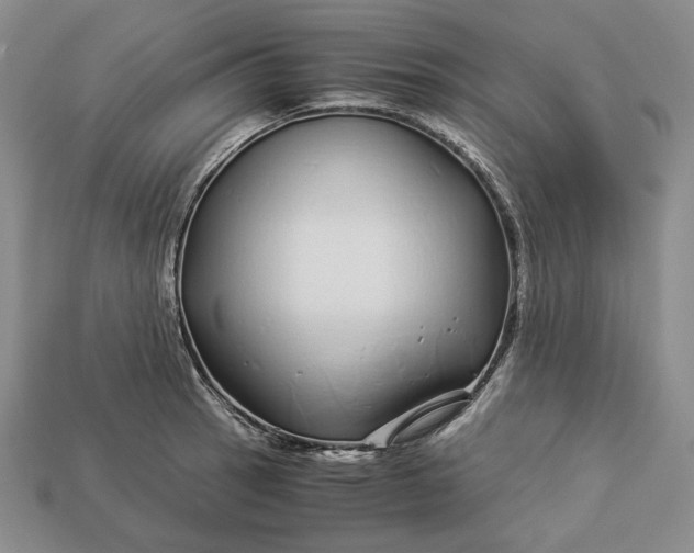 X0000112881137200909111437