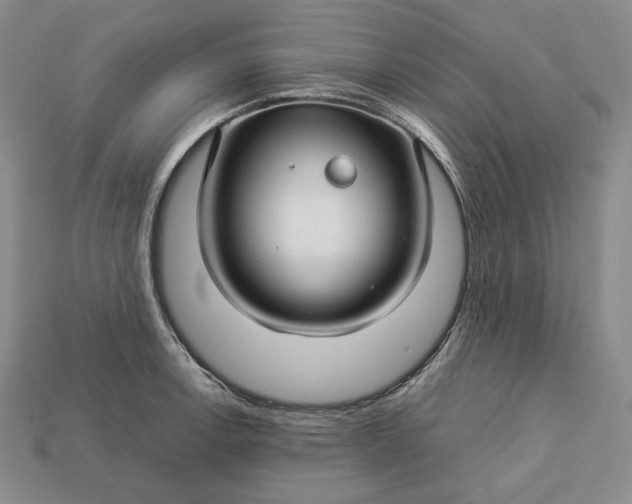 X0000112881138200909111437