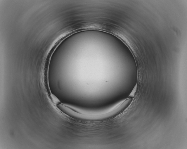 X0000112881139200909111437