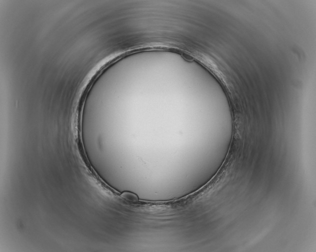 X0000112881140200909111437