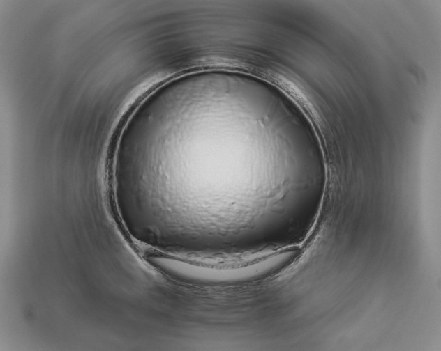 X0000112881141200909111437