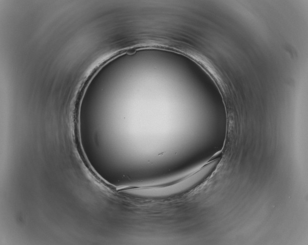 X0000112881143200909111437