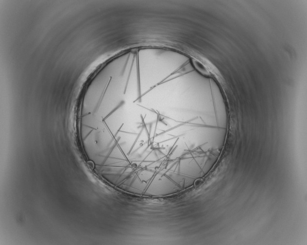 X0000112881144200909111437