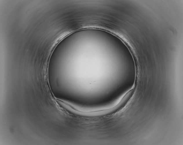 X0000112881145200909111437