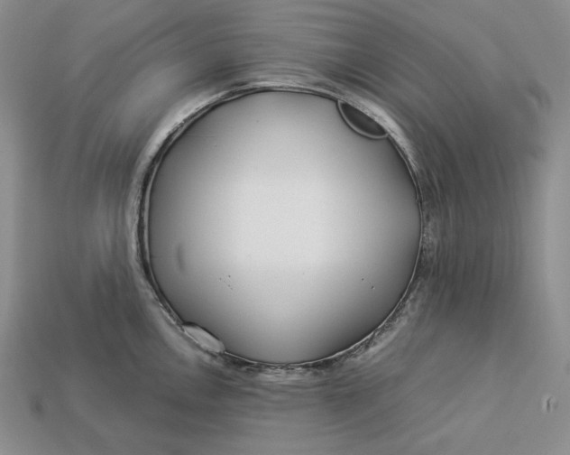 X0000112881146200909111437