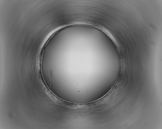 X0000112881148200909111437