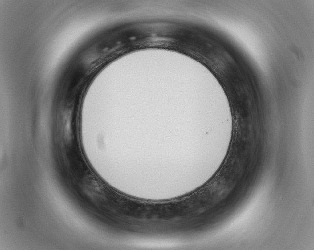 X0000112881150200909111437