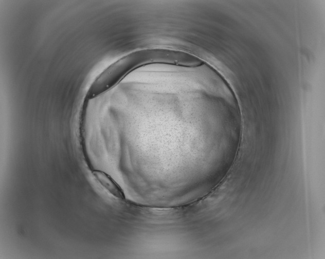 X0000112881152200909111438