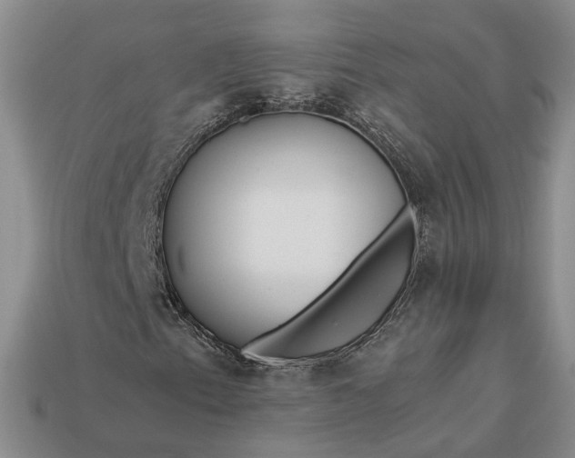 X0000112881153200909111437