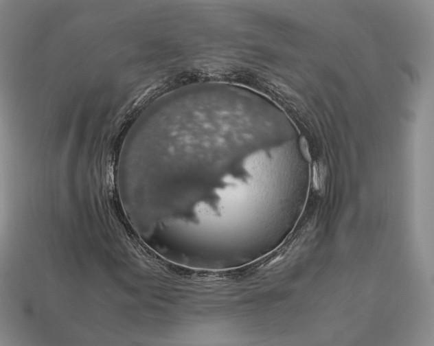 X0000112881155200909111437