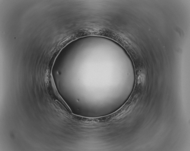 X0000112881156200909111437