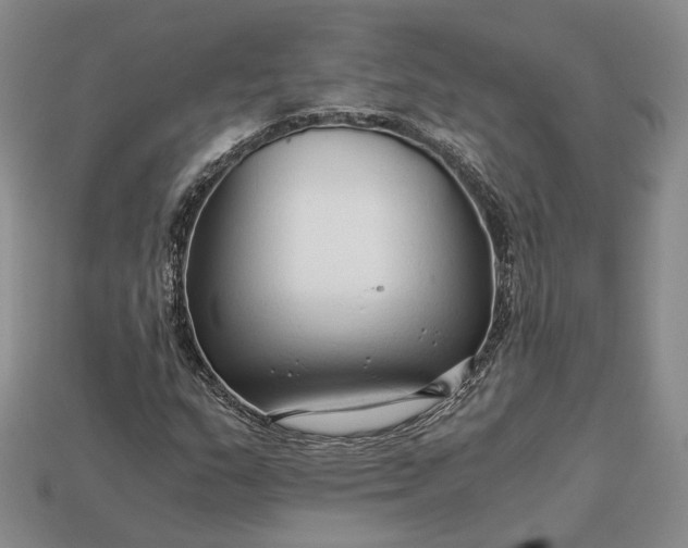 X0000112881159200909111437