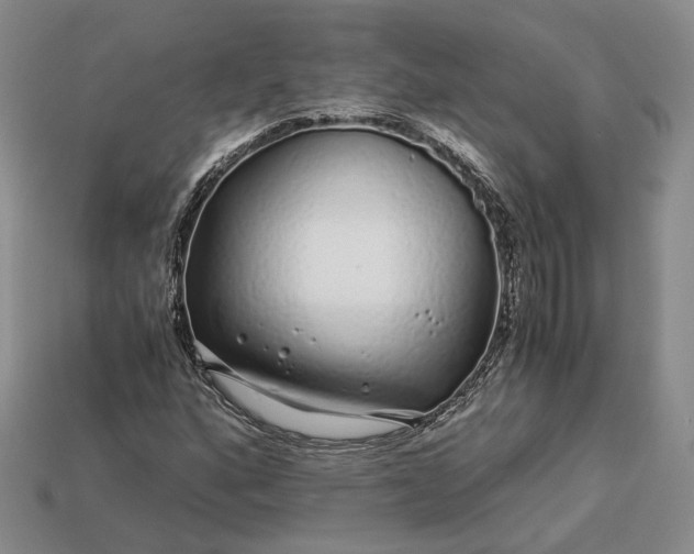 X0000112881160200909111437