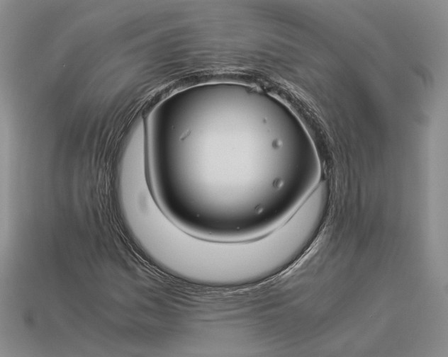 X0000112881161200909111437