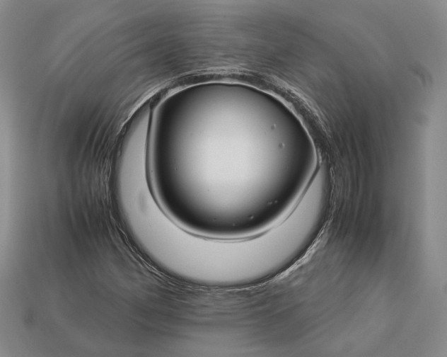 X0000112881162200909111437