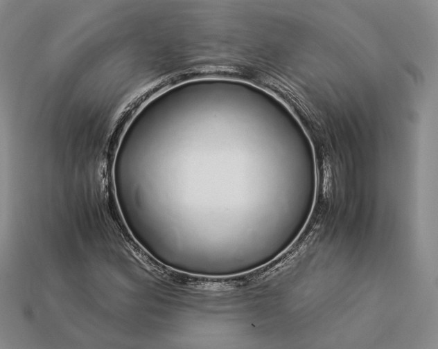 X0000112881164200909111437