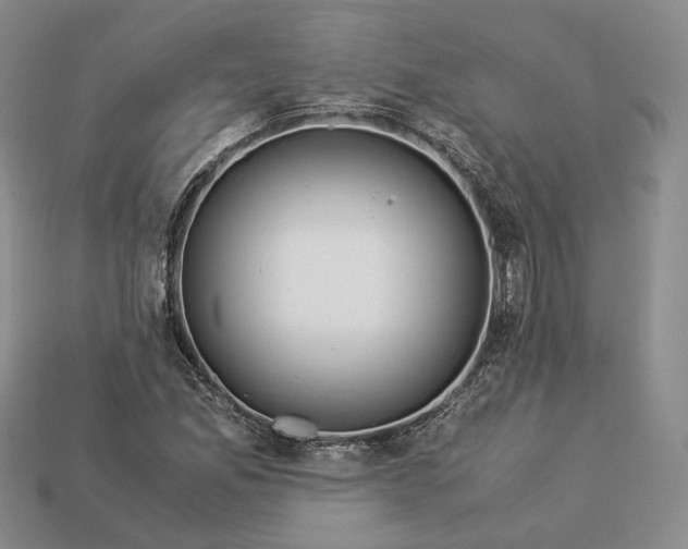 X0000112881165200909111437