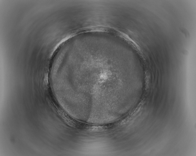 X0000112881166200909111437