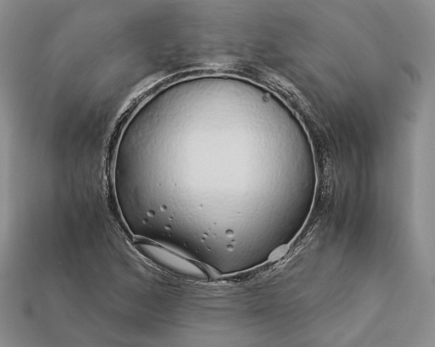 X0000112881168200909111437