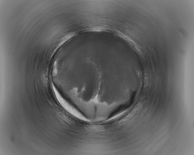 X0000112881170200909111437