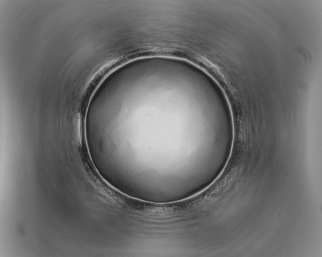 X0000112881171200909111437